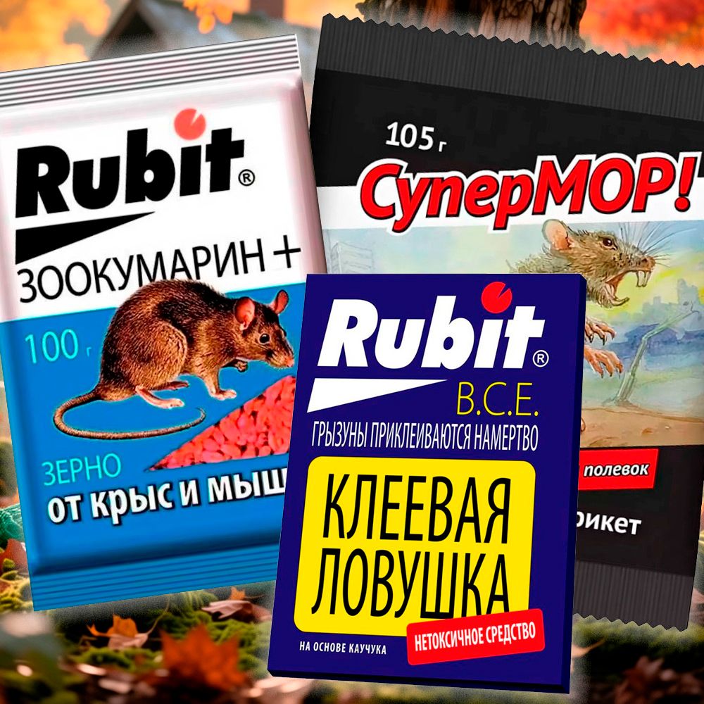 Защита урожая от грызунов в погребе